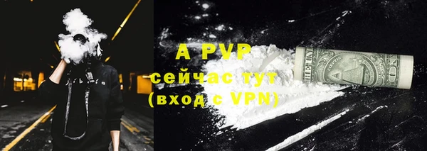 дмт Дмитровск