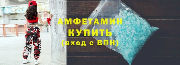 соль ск Дмитриев