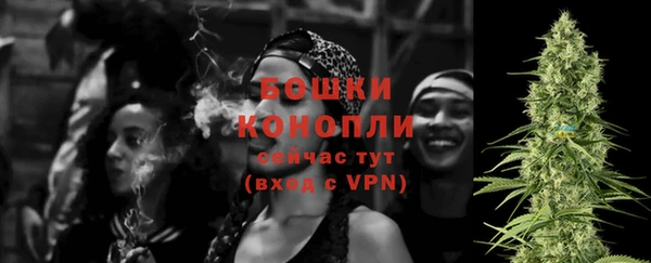 соль ск Дмитриев