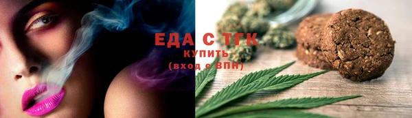 соль ск Дмитриев