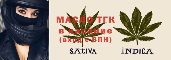 соль ск Дмитриев