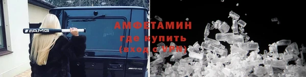 соль ск Дмитриев