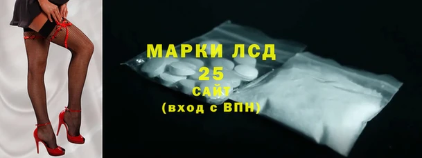 соль ск Дмитриев