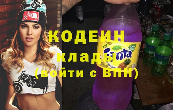 соль ск Дмитриев