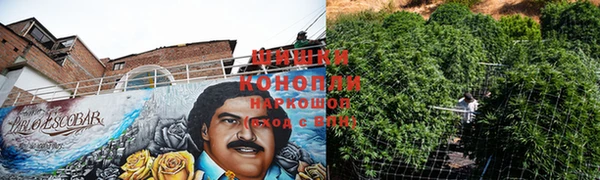 винт Гусиноозёрск