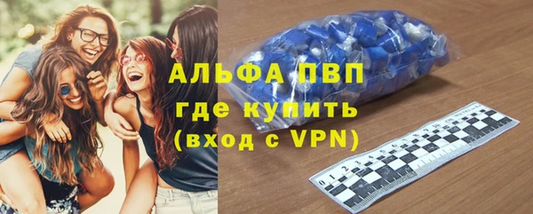 СК Дмитров