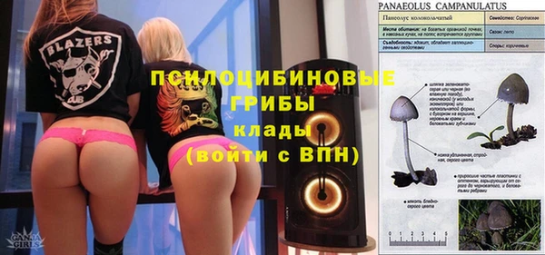 соль ск Дмитриев