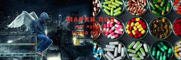 СК Дмитров