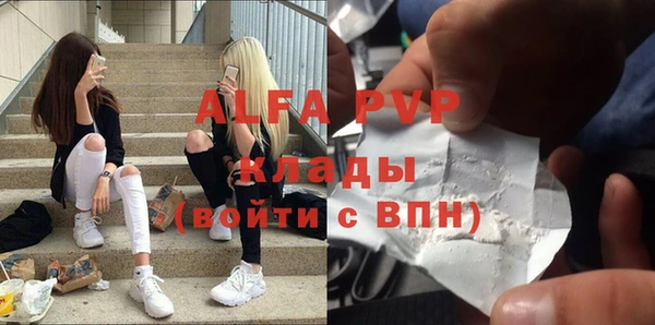 СК Дмитров