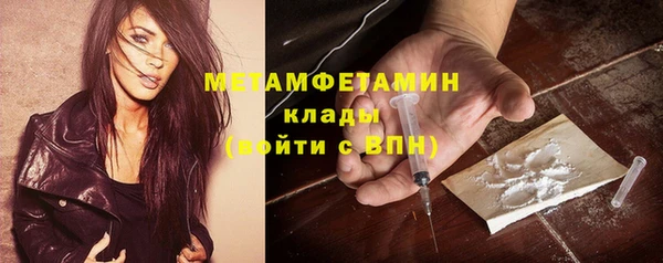 соль ск Дмитриев