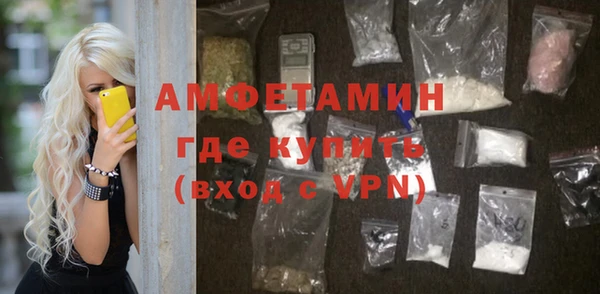 соль ск Дмитриев