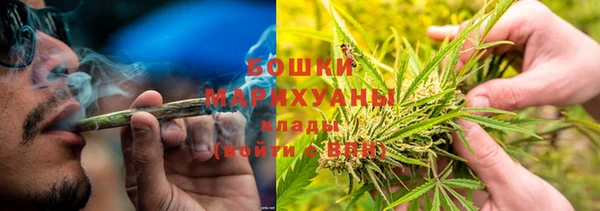 дмт Гусь-Хрустальный