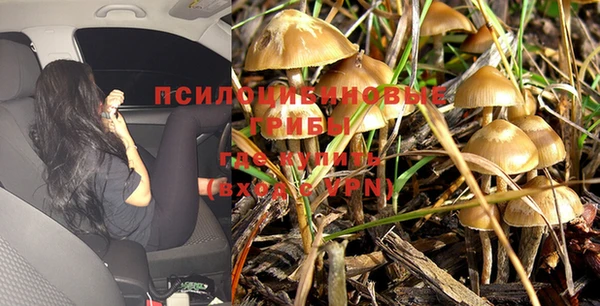 СК Дмитров