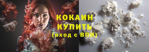 дмт Дмитровск